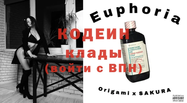индика Абинск