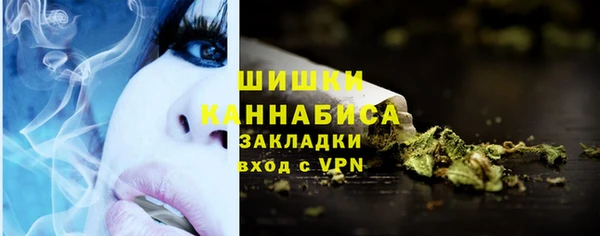 2c-b Пестово