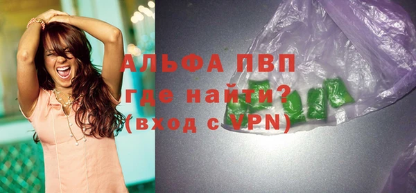 индика Абинск