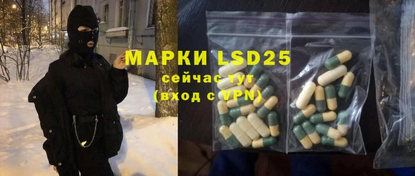индика Абинск