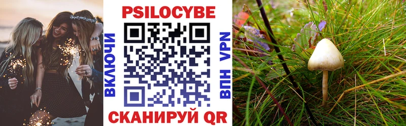 KRAKEN рабочий сайт  Азнакаево  Псилоцибиновые грибы Psilocybe  цена  