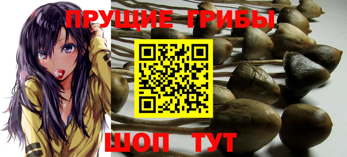 Галлюциногенные грибы мицелий Азнакаево